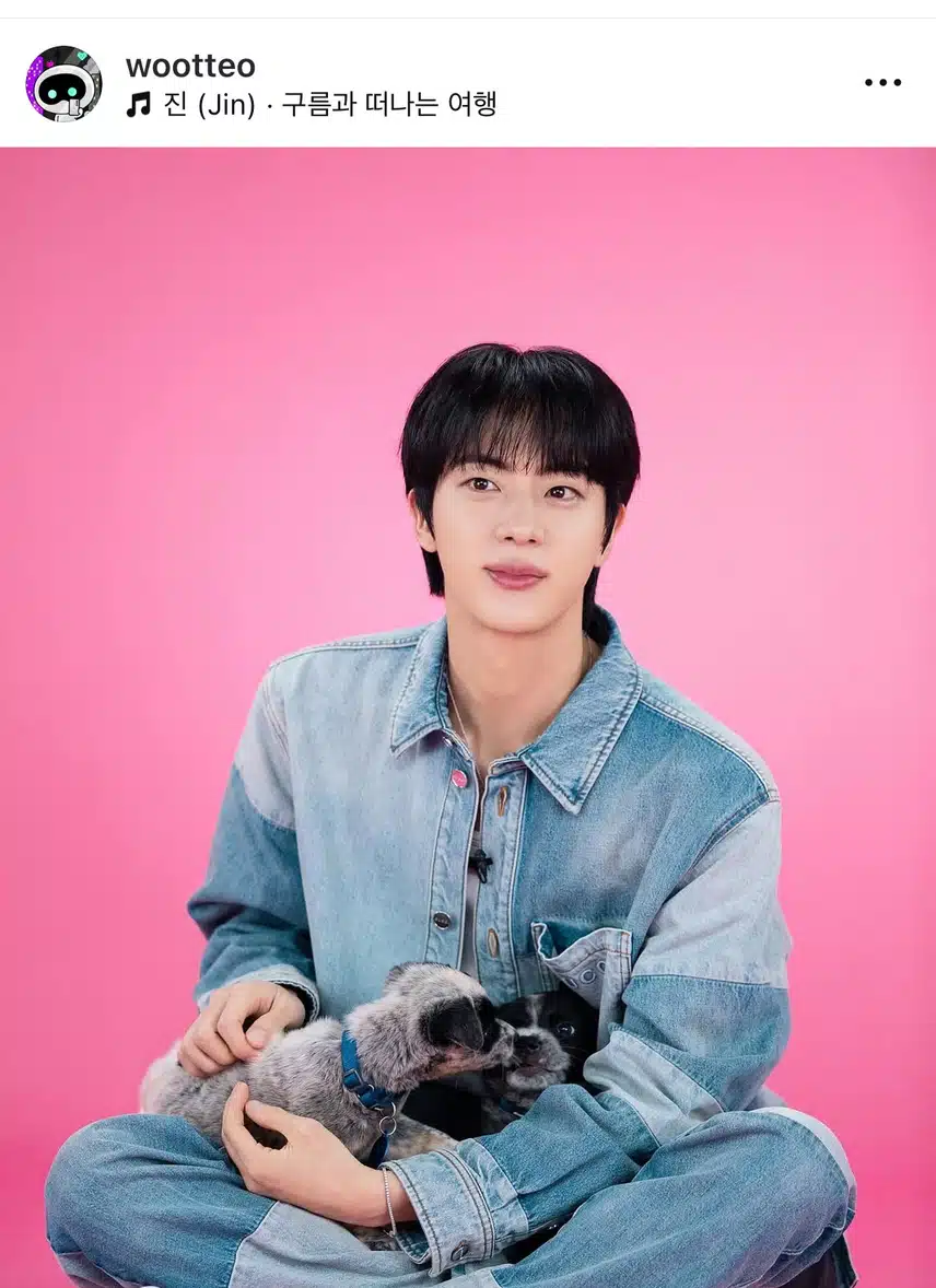 강아지랑 석진이 너무 귀여워요 