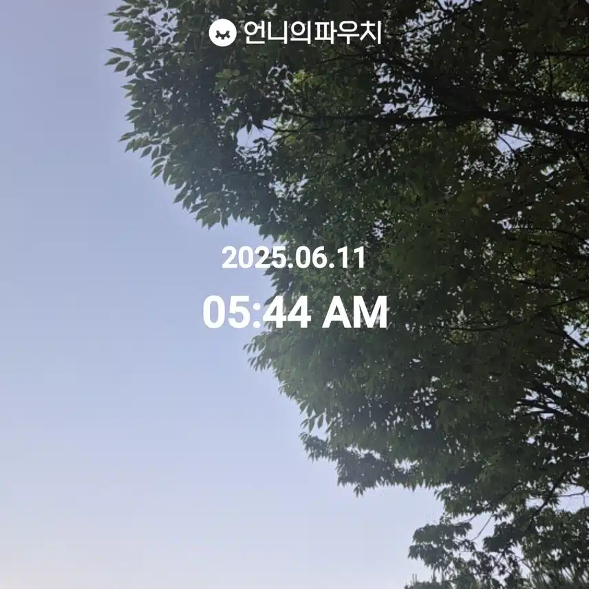2025년 6월 11일 수요일 걷기 