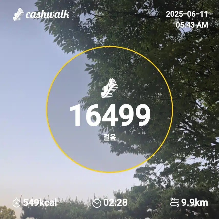 2025년 6월 11일 수요일 걷기 