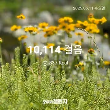 6월 11일 만보 완주 