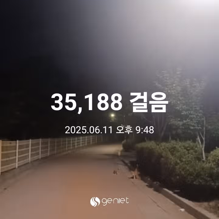 삼만보 걷기 