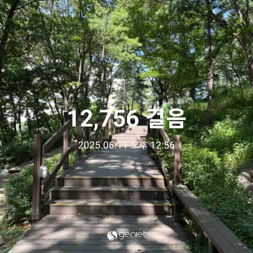 만보 걸었어요