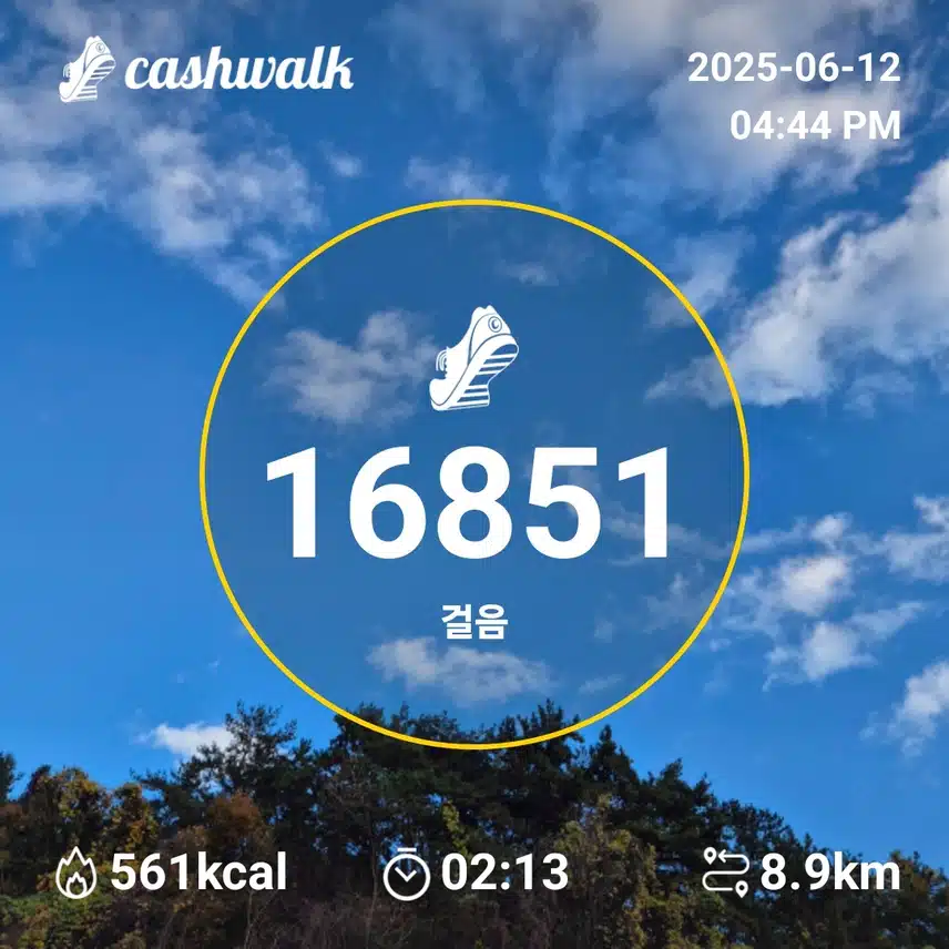 만보인증