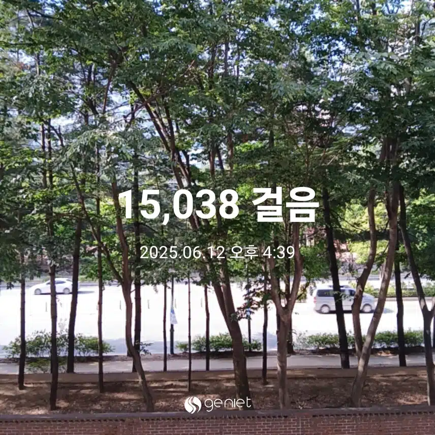 목요일 걷기운동^^