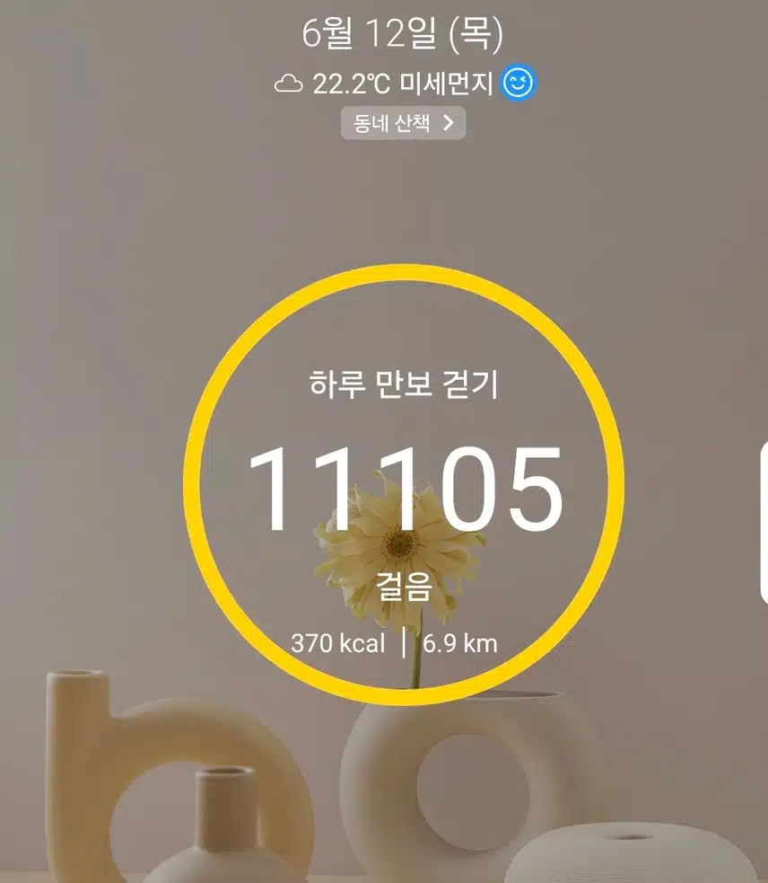 1만보 걷기 운동