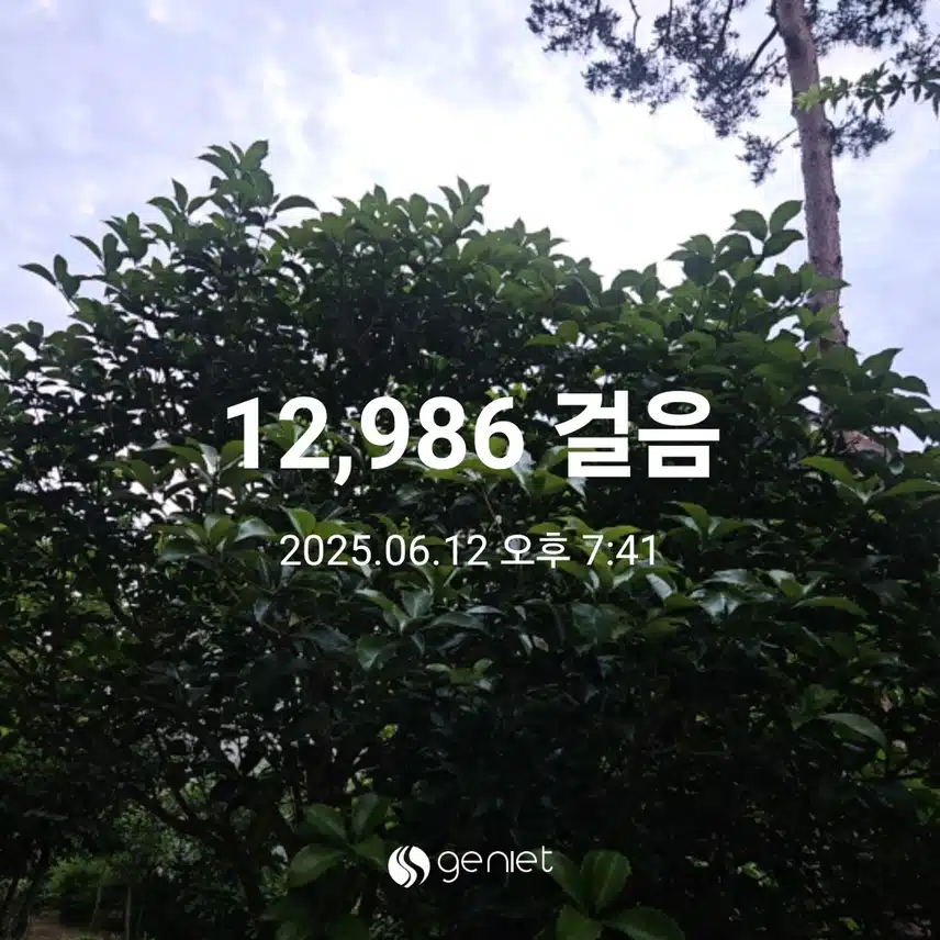 저녁  마무리합니다.🏃