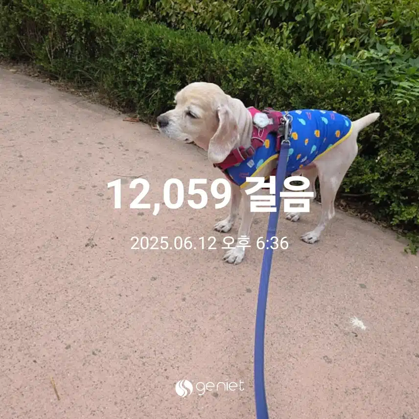 목요일 마무리 