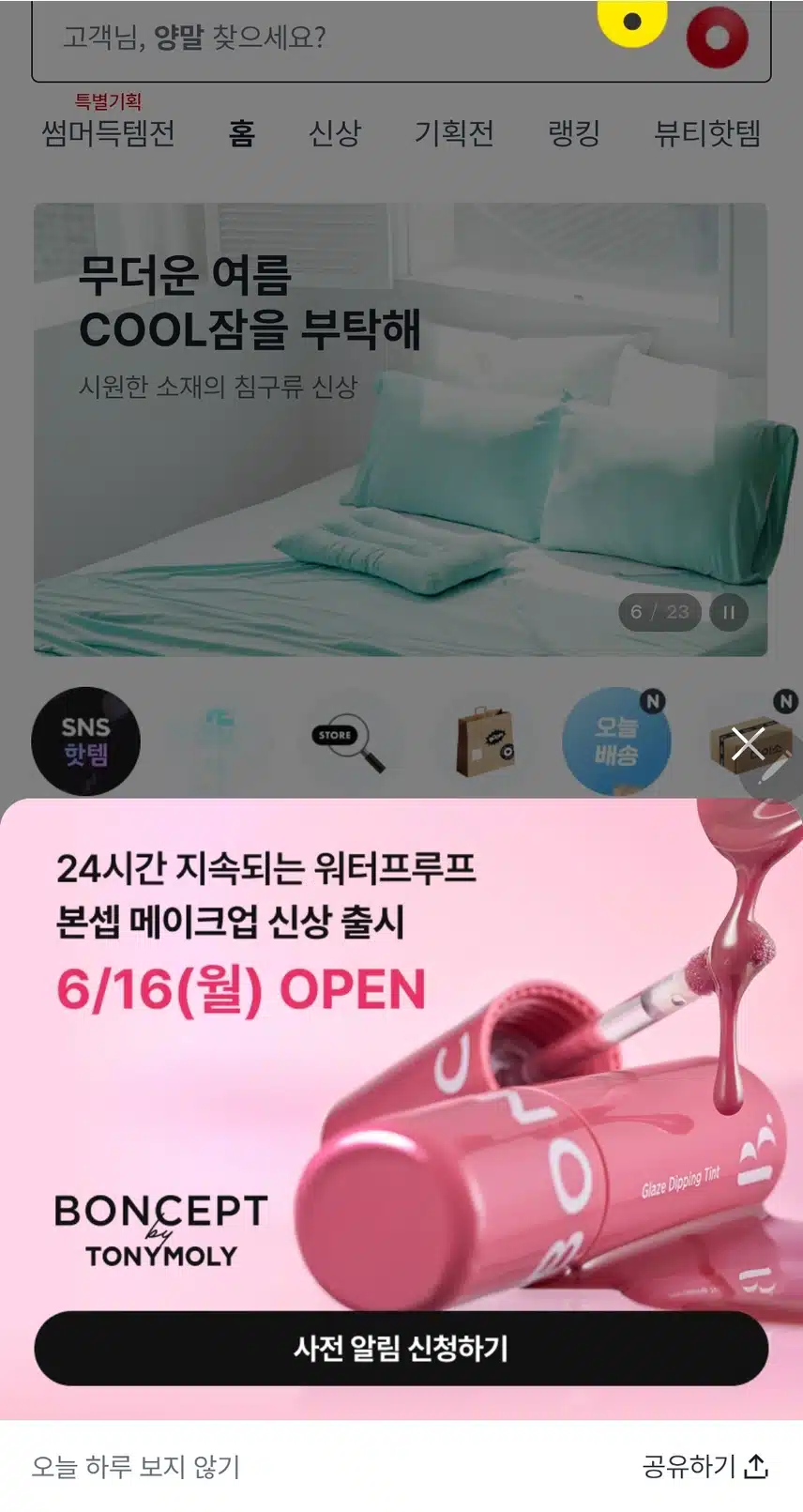 다이소 본셉 신상 