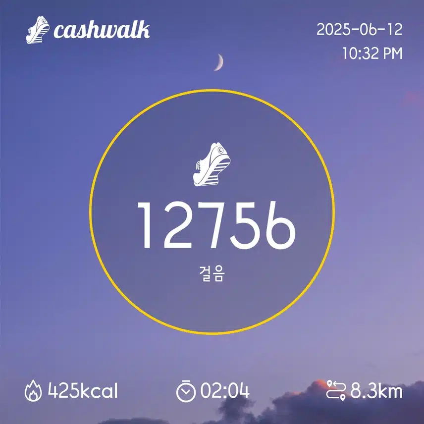 12일 만보걷기