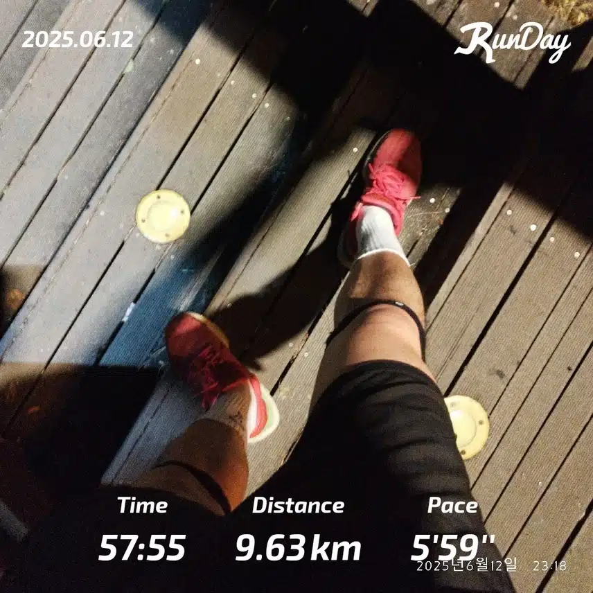 9km 즐겁게 달렸습니다🏃🏻‍♂️
