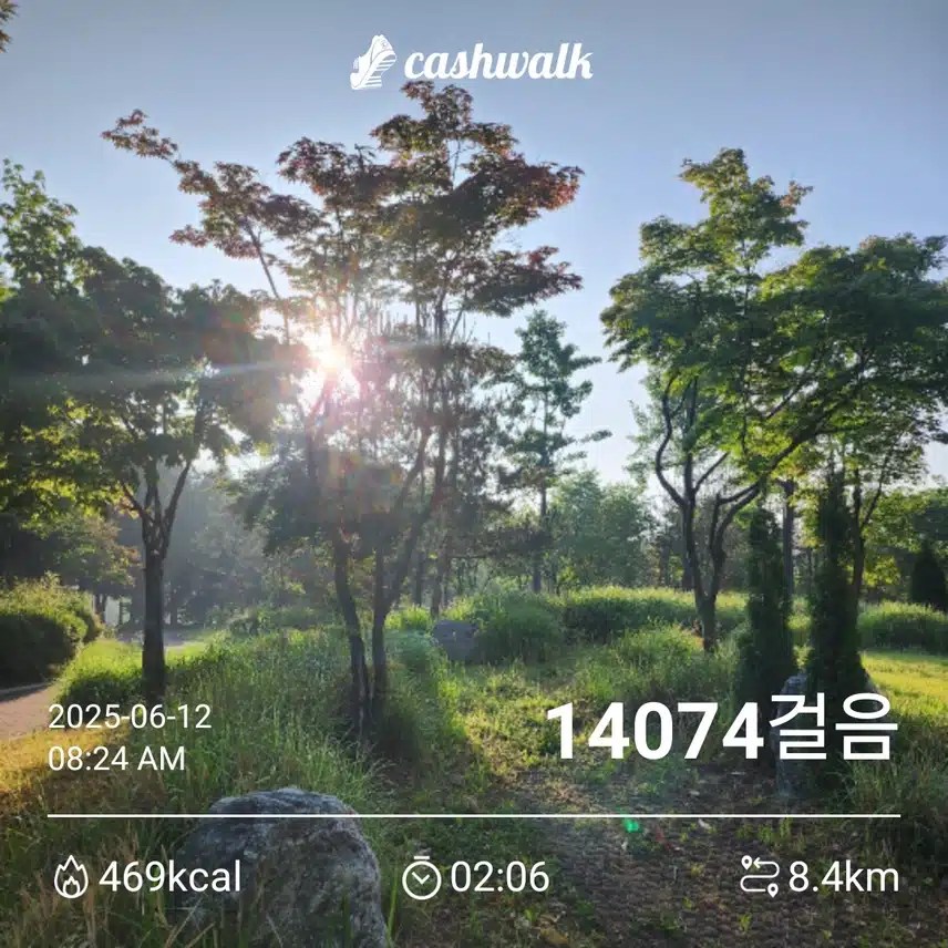 새벽에 운동하기 성공👌