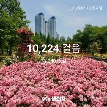 6월 12일 만보 완주 