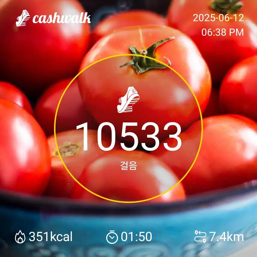 만보걷기 