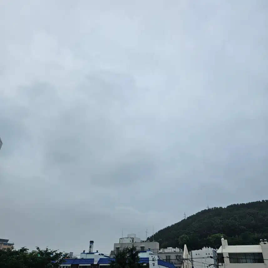 다들 우산 챙기세요.