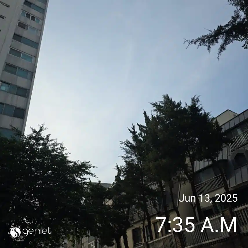 금요일 아침 