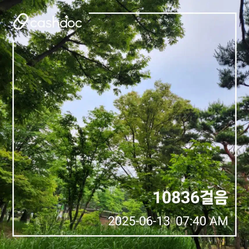 오랜만에  러닝 3km 후 만보채우기 