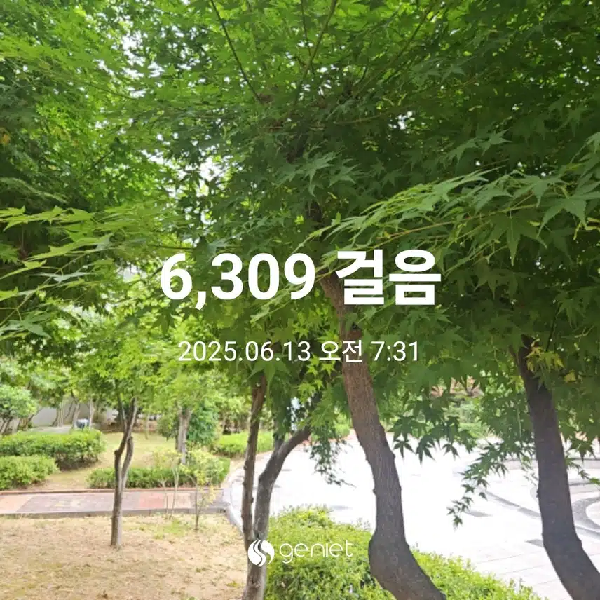 아침 산책 🏃