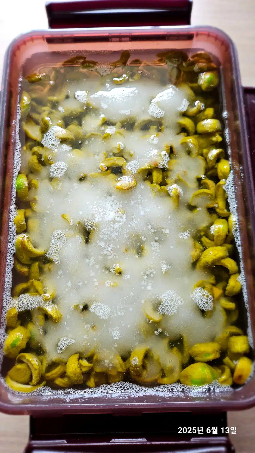 매실짱아찌~(만하루+12시간)