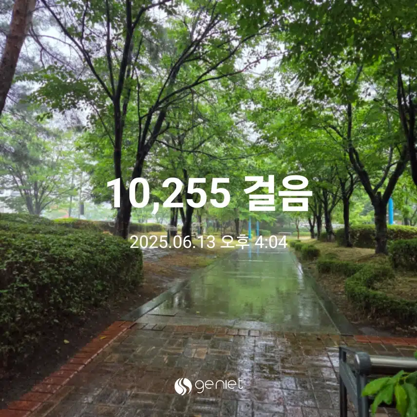 비가와도 만보 걸었어요 