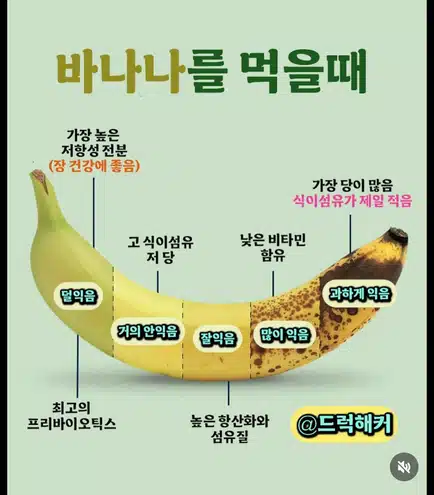바나나는 이럴때 먹어요 