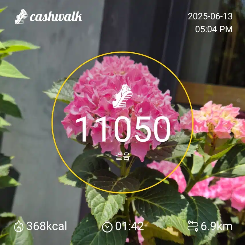 1만보 걷기 운동 완료