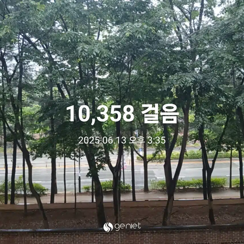금요일 걷기운동^^