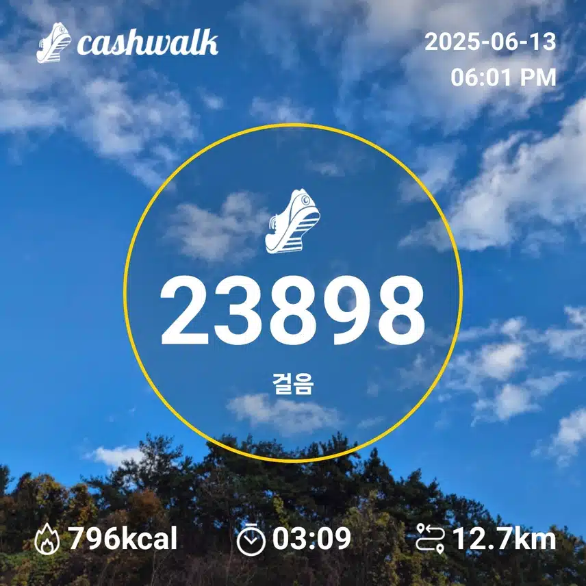 만보인증