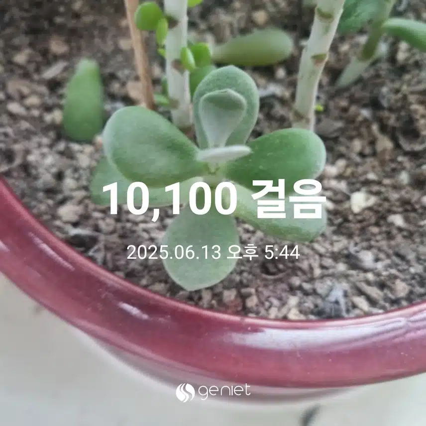 힘들어도 만보