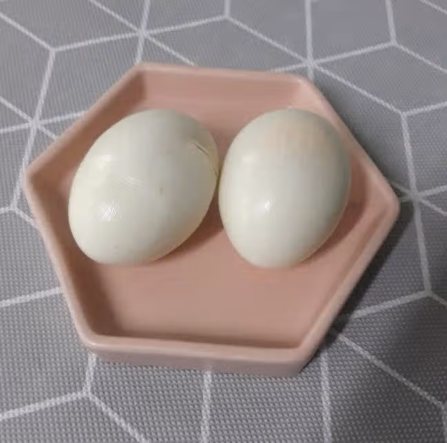 계란먹기