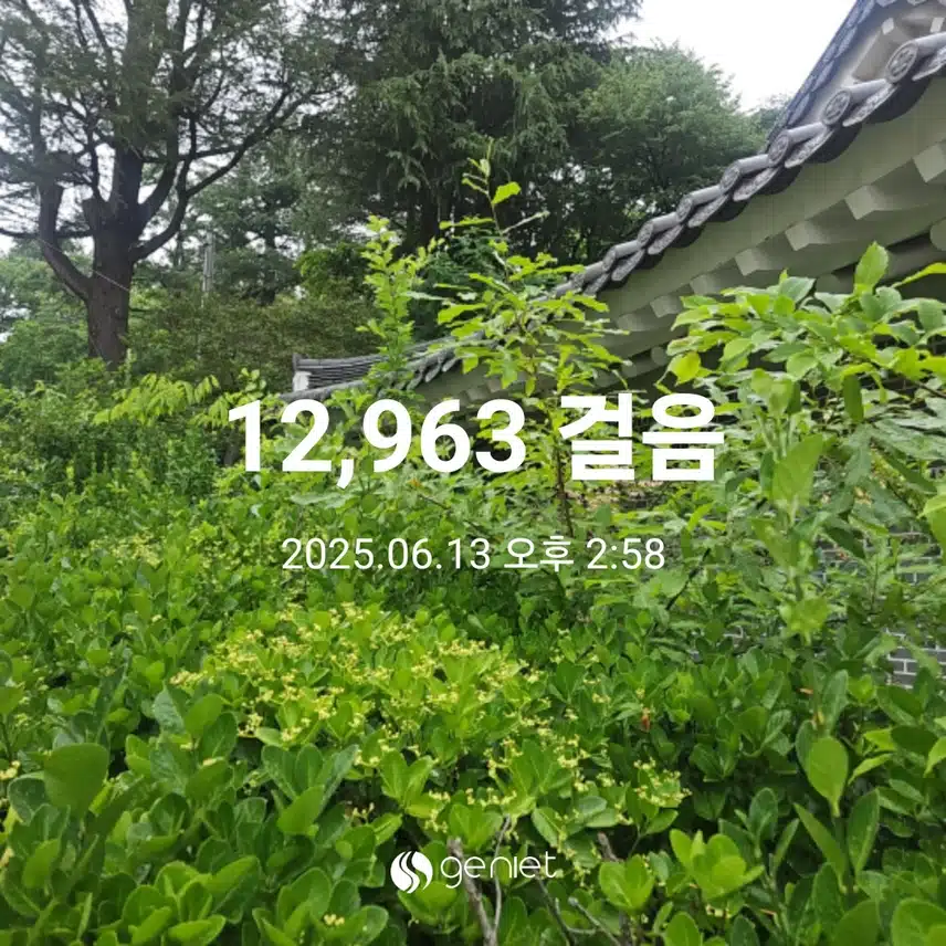 공원 산책길 따라 🏃