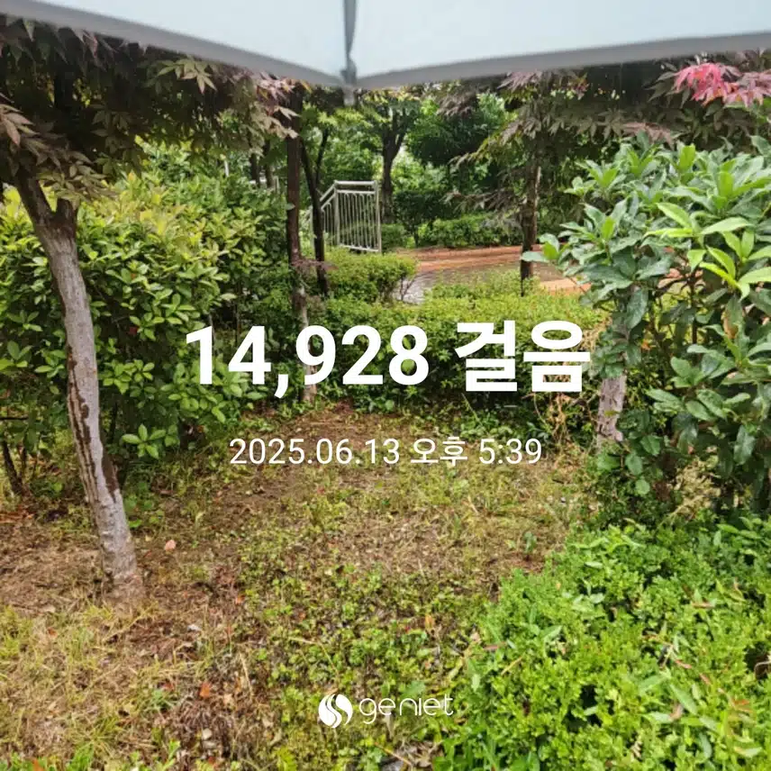 빗소리 음악 삼아 걸었네요. ☔️ 🏃