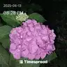 board-img