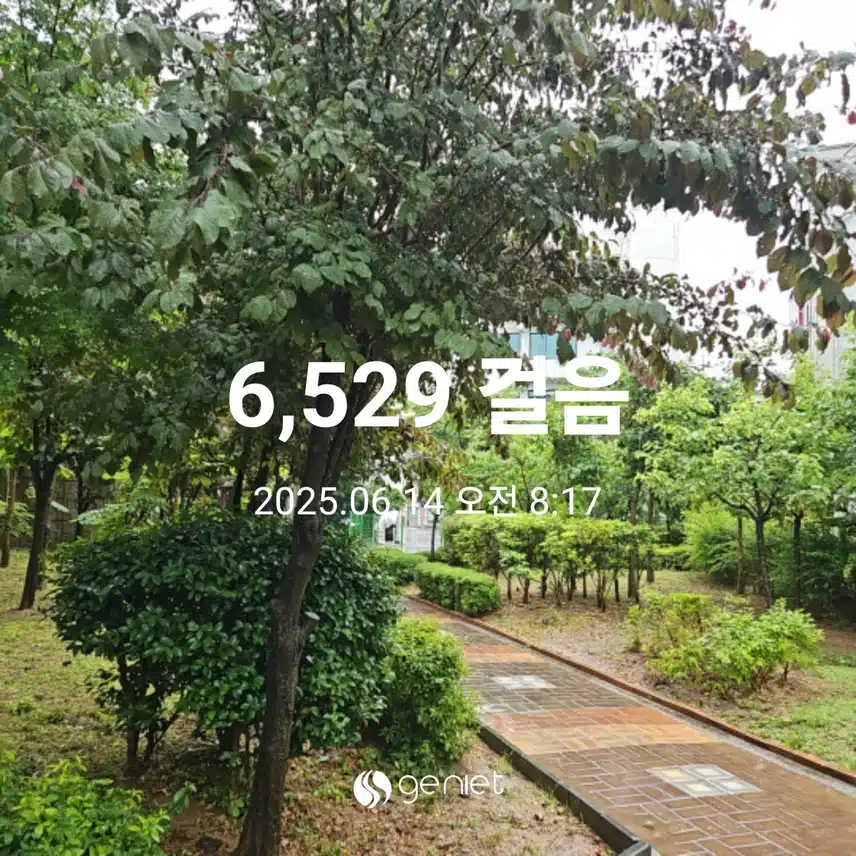 상쾌한 아침 산책길 🏃