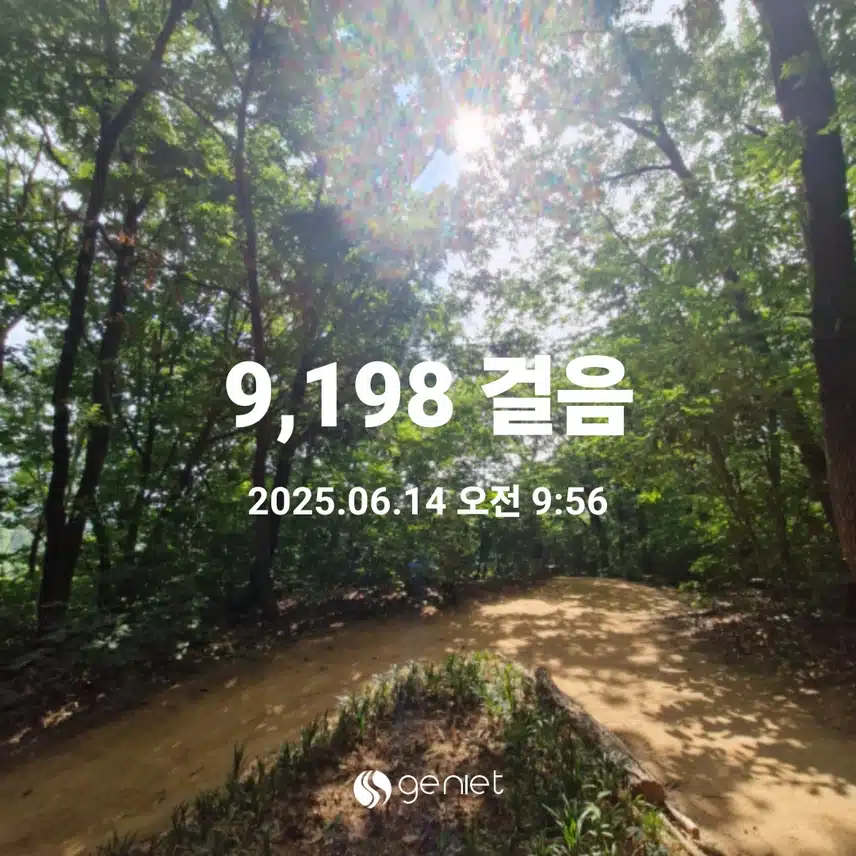주말은 산림욕