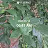 board-img
