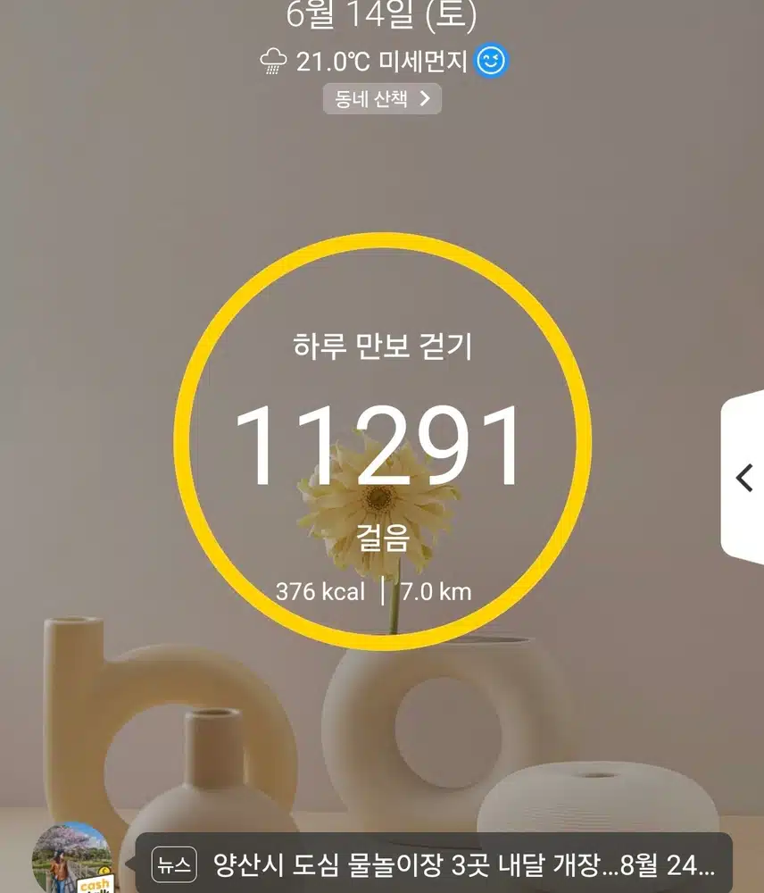 1만보 걷기 운동