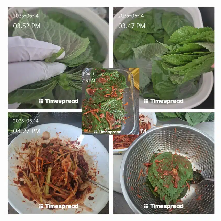 깻잎김치 만들었어요~ 2천원의 행복~( ´∀｀ )b