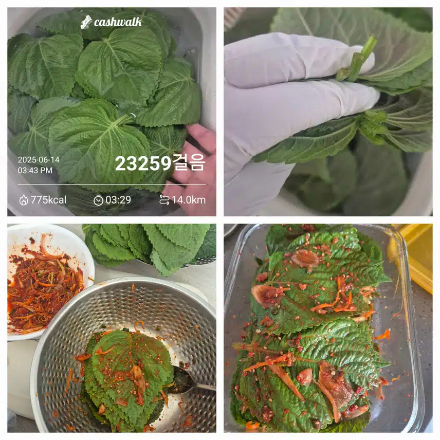 빛나리님따라~ 깻잎반찬 만들었어요(^_^)v