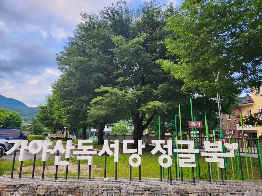 놀러 왔어요