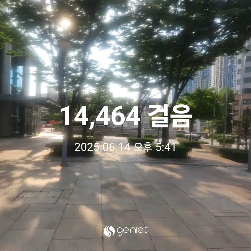 햇살  가득하네요.☀️ 
