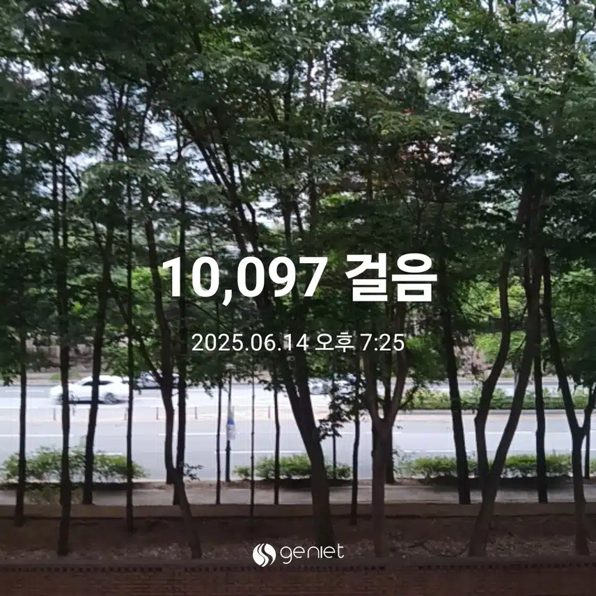 토요일 걷기운동^^