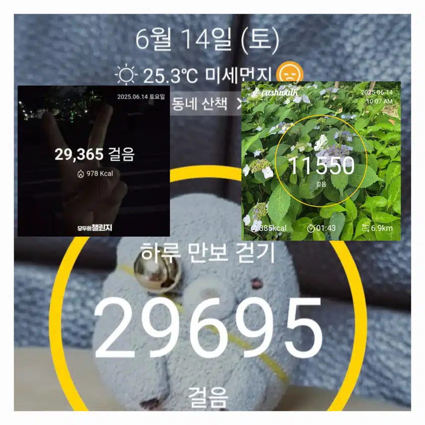 토요일~ 나와의약속 목표만큼 걷기운동 ~🥰