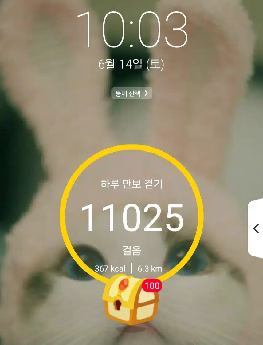 만보달성 