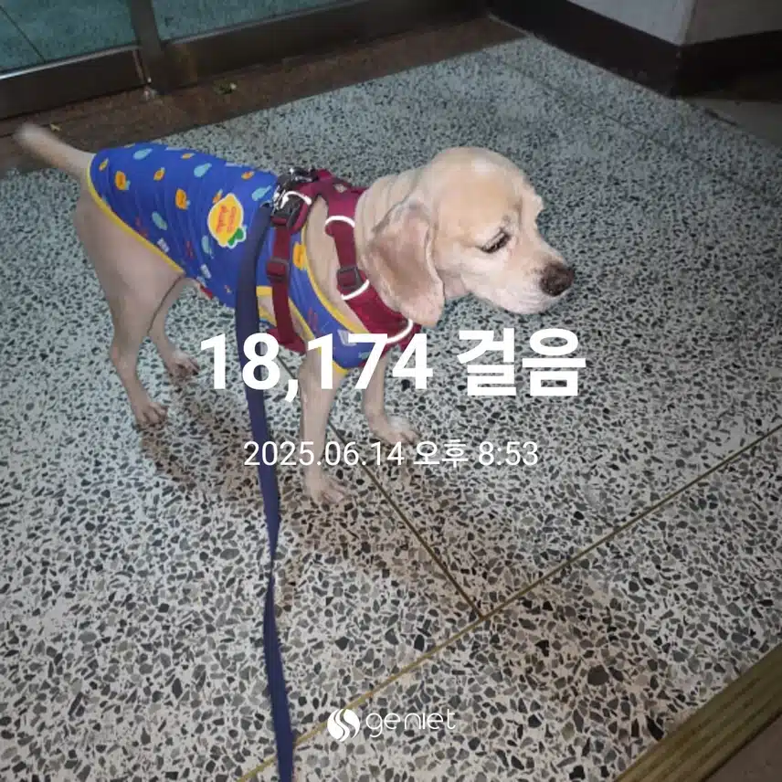 토요일 마무리 