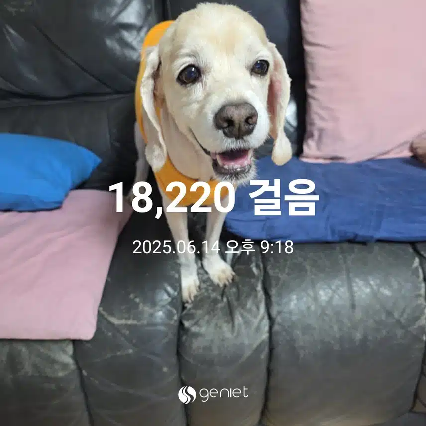 토요일 마무리 