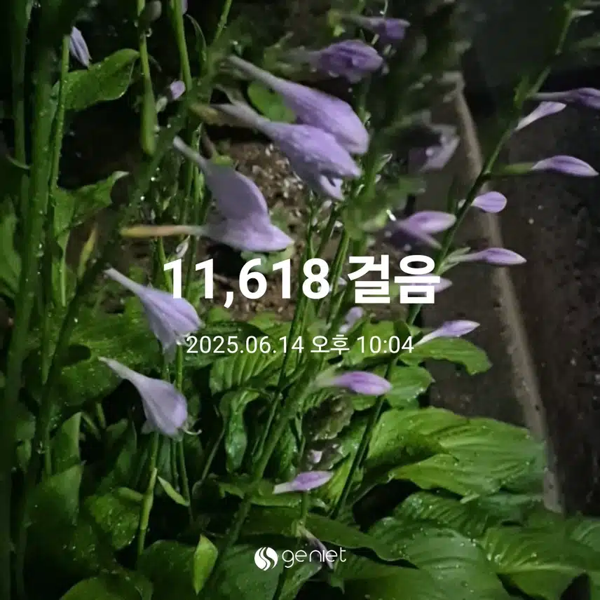 토요일 만보 걷기