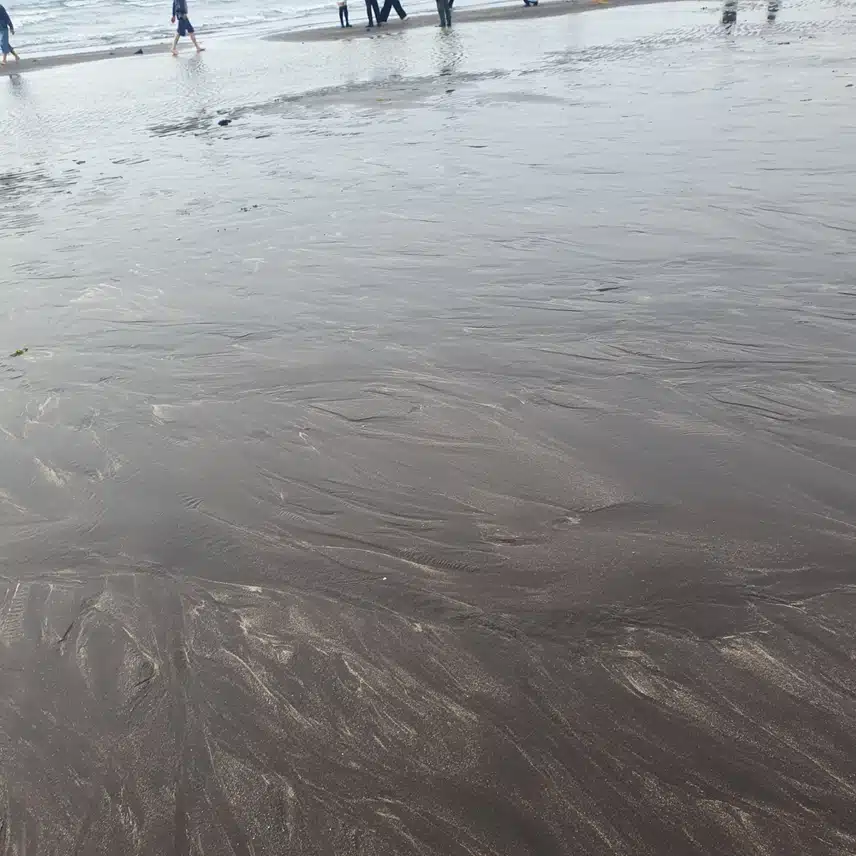 오늘 운동은 바닷가 모래사장에서 맨발 걷기🚶‍♀️🚶‍♀️