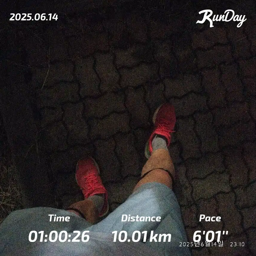 10km 즐겁게 달렸습니다🏃🏻‍♂️