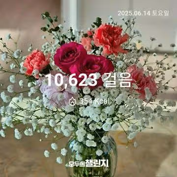 6월 14일 만보 완주 