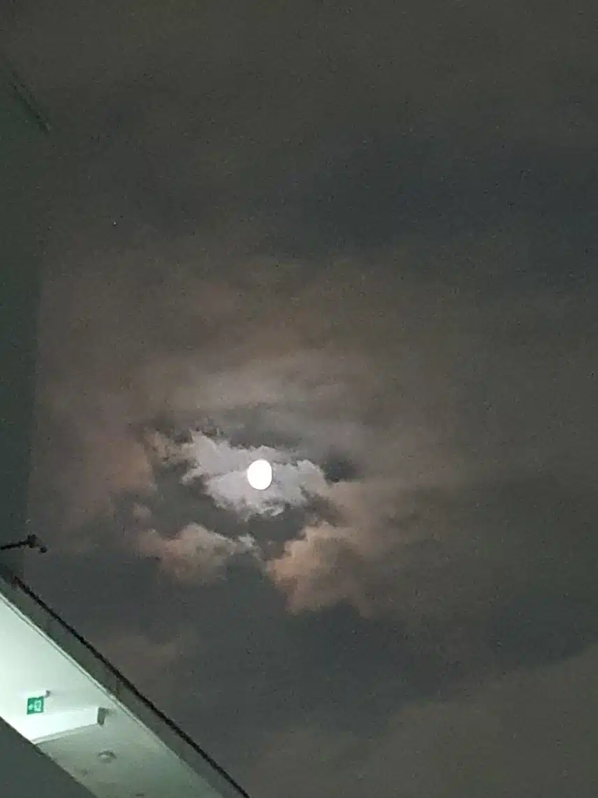 밤하늘 달보기 🌛 🌚 🌔 